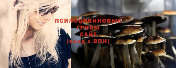твердый Липки